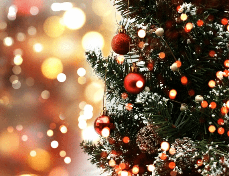 The Ultimate Comparison of Artificial Christmas Trees: Quality vs. Price